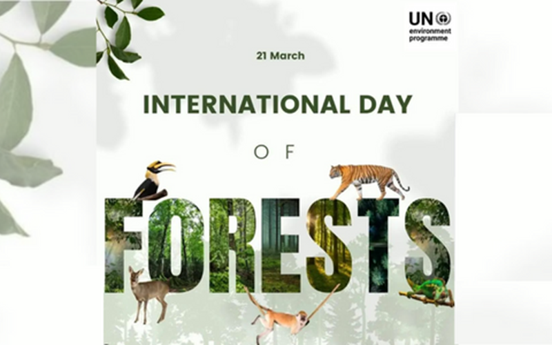 International Day of Forests 2023